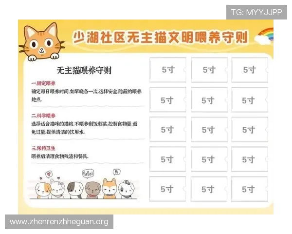 利记百家乐现金网常见问题解答，解决新手玩家的疑虑与操作难题