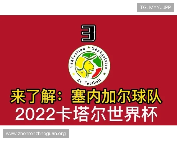 世界杯挪威VS塞内加尔比赛官方购票渠道及购票时间安排一览